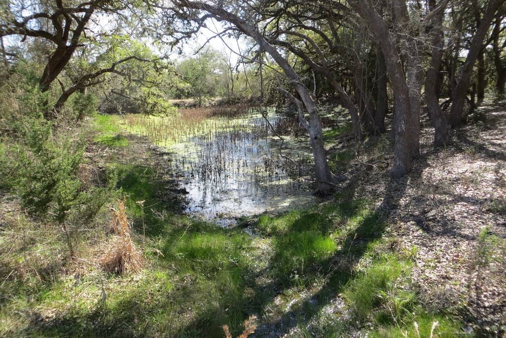 Wildlife Viewing Pavilion