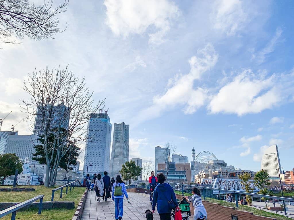 Evening Illuminations