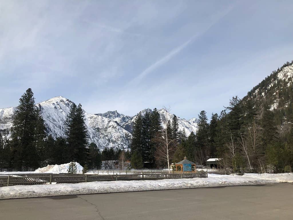 Fish Life Cycle Exhibits