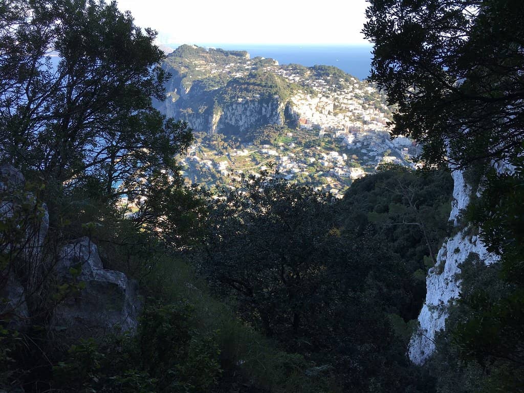 Summit Serenity
