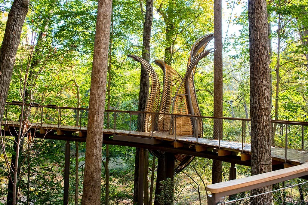 Interactive Exhibits