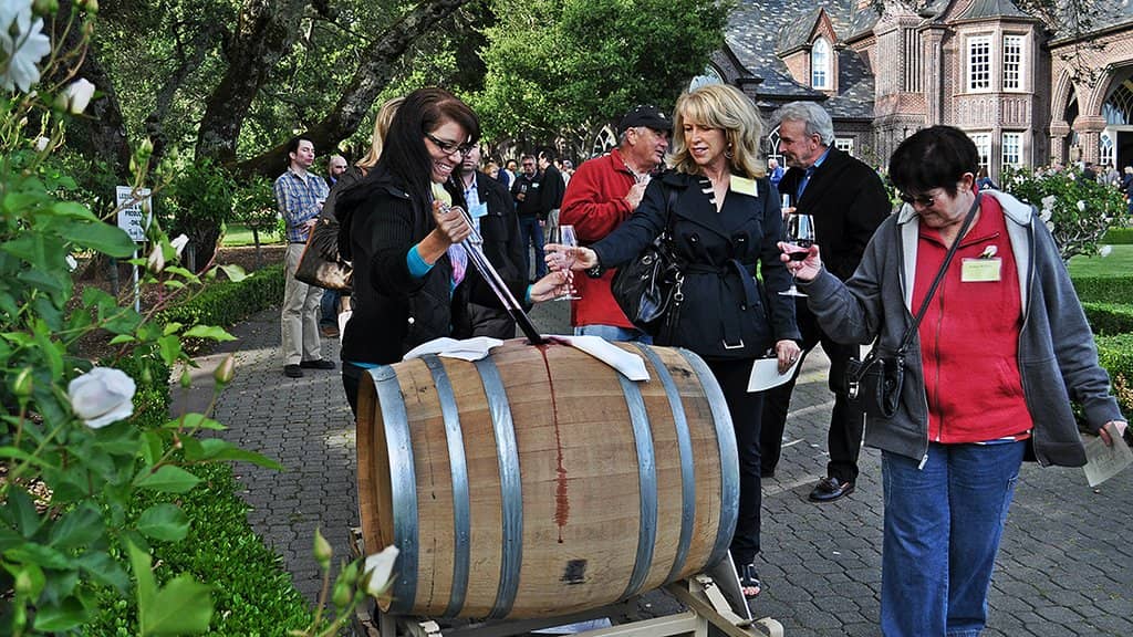 The Castle Architecture