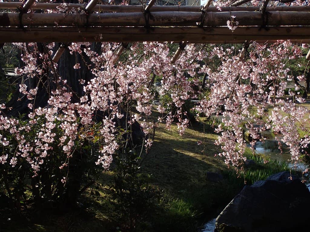 Kaito-ro Bridge