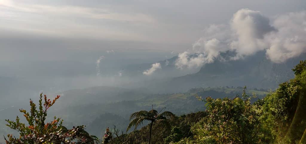 Cloud Forest Trails
