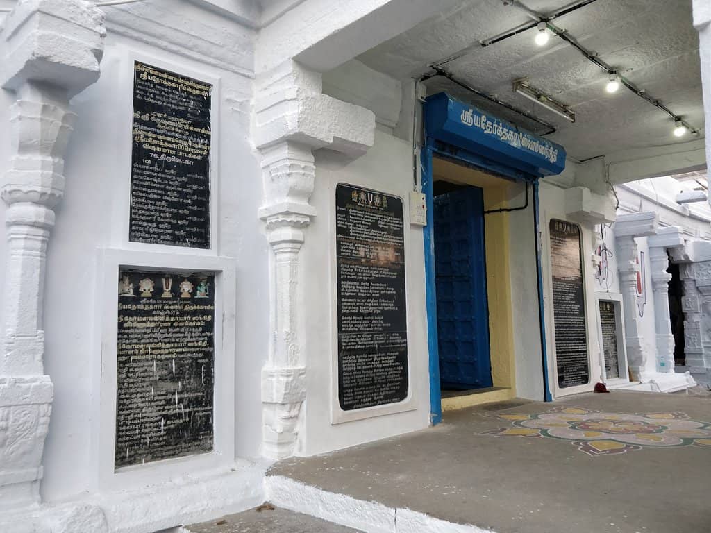 Exquisite Andal Idol