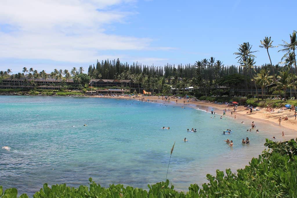 Crescent-Shaped Sandy Shoreline