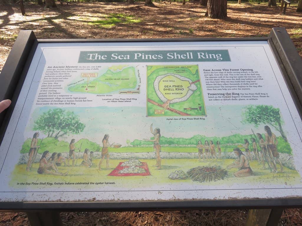 Breathtaking Lake View