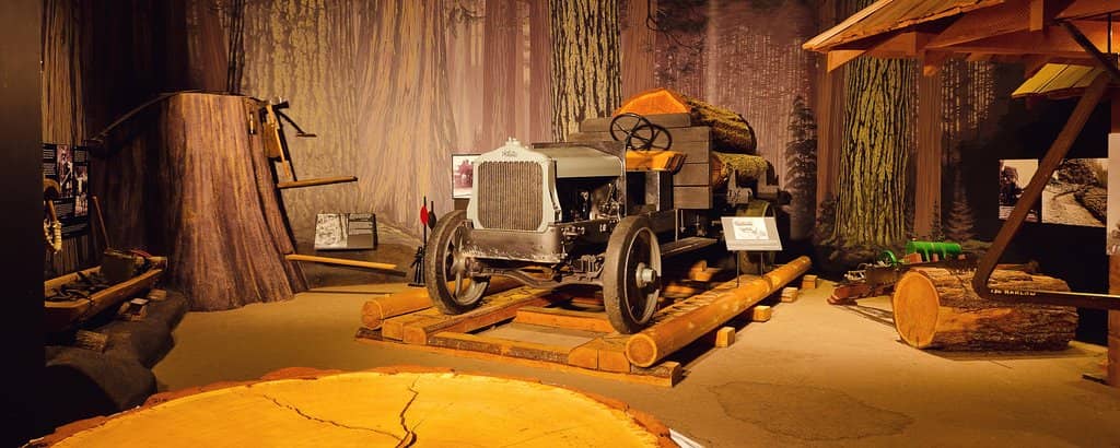 Seasonal Quilt Exhibit