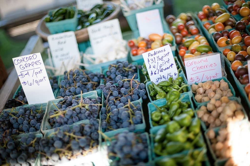 Local Wine & Cider Tastings