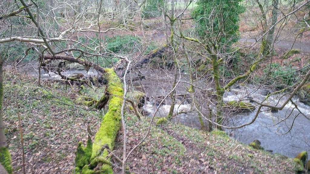 Woodland and River Walks