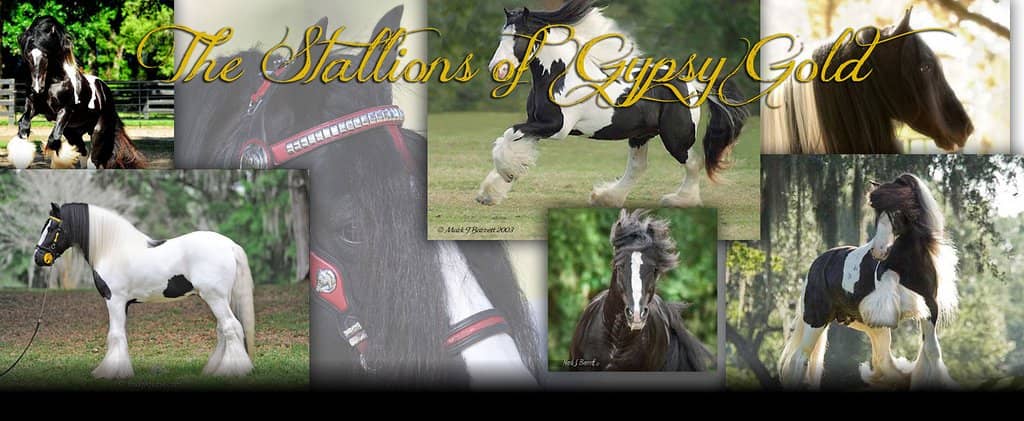 Fascinating Farm History