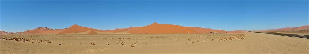 Big Daddy Dune