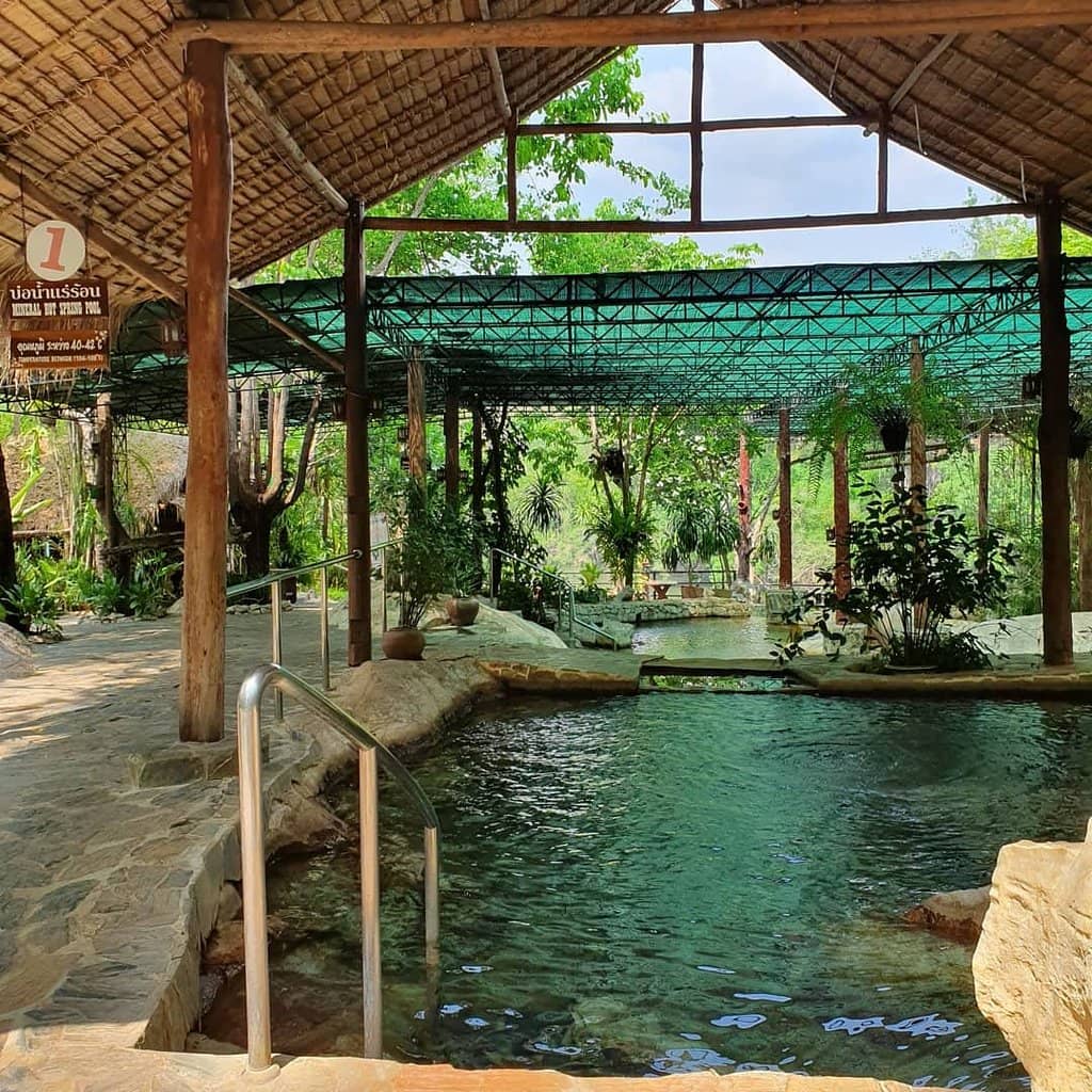 Tranquil Forest Setting