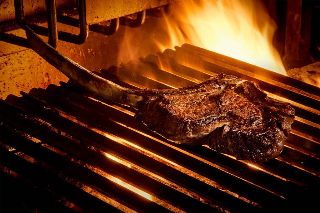 Gourmet Dining Ambiance