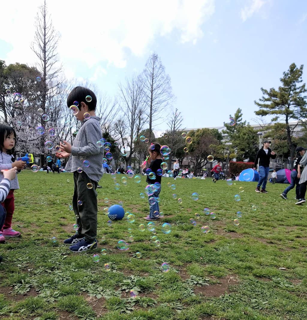 Christmas Illuminations