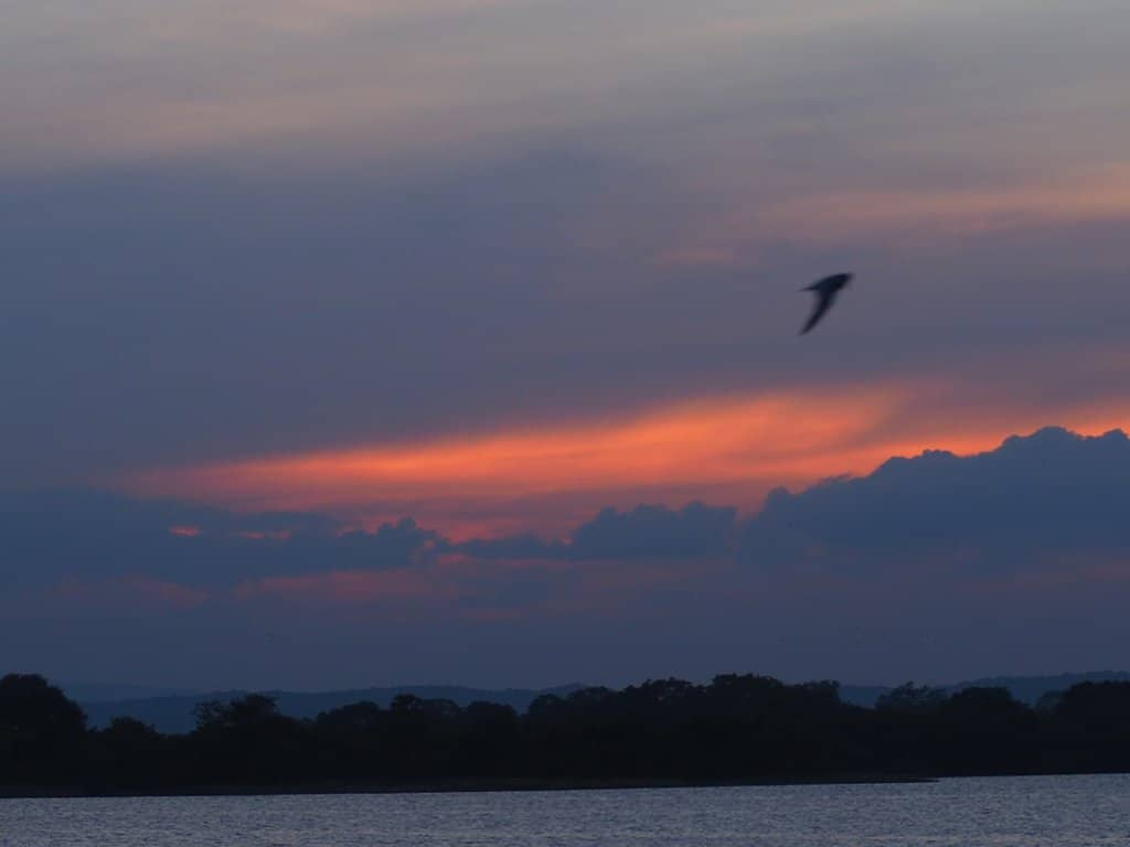 Ancient Engineering Marvel