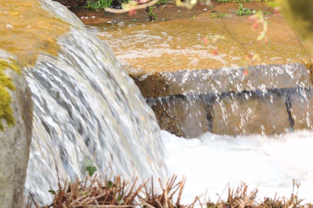 Luminate Light Festival