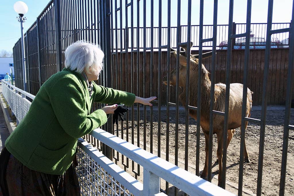 Beautifully Decorated Grounds