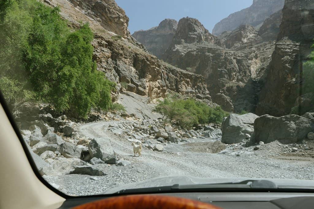 Tanuf Ruins