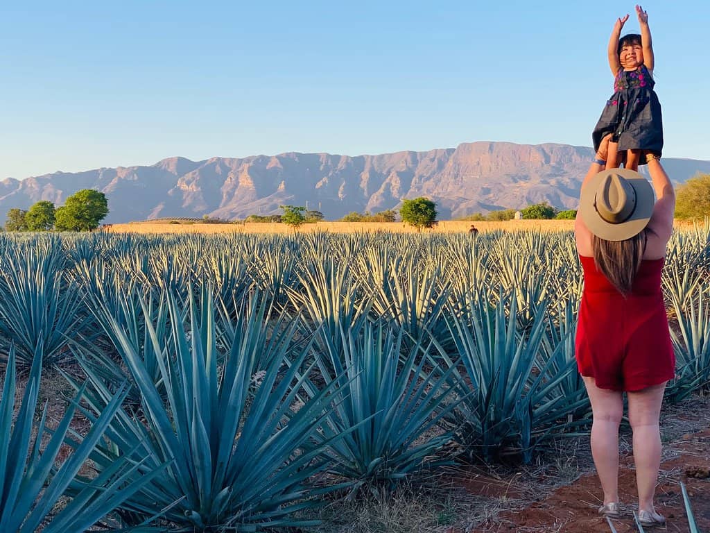 Insightful Distillery Tour