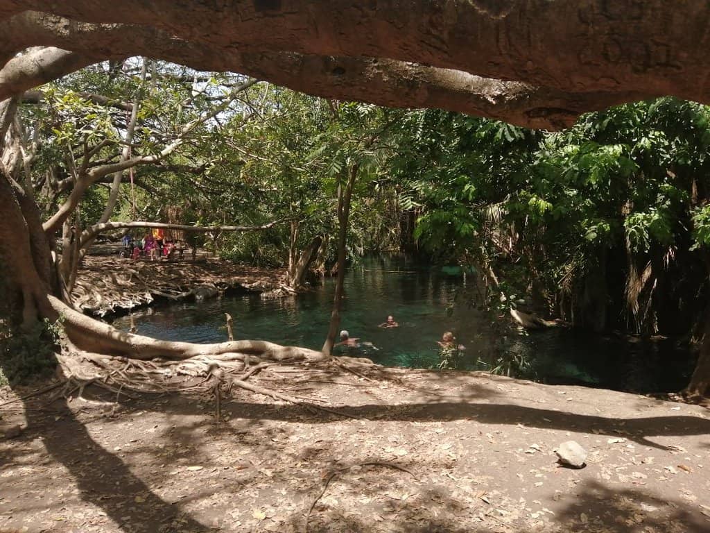 Refreshing Dip