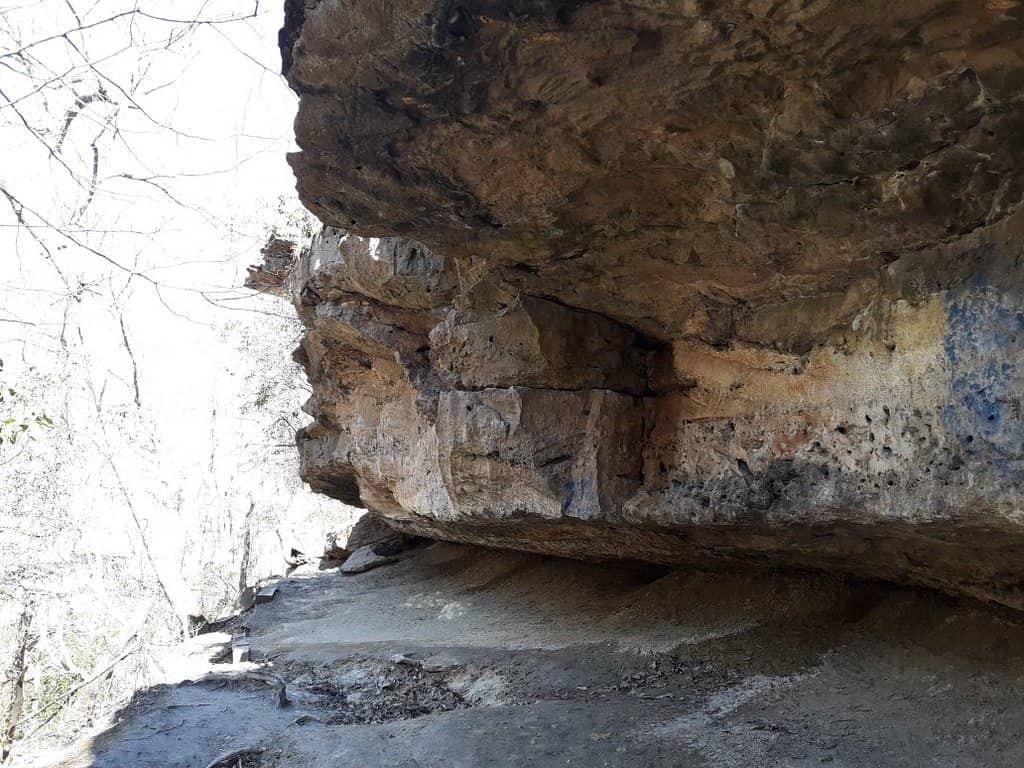 Scenic Walking Trails