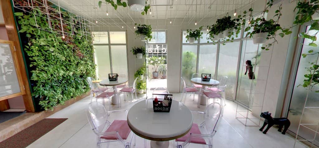 Decadent Chocolate Desserts