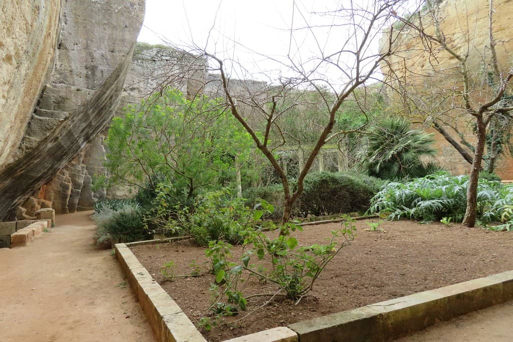 Cubical Amphitheatre