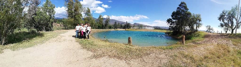 Desert Landscape Exploration