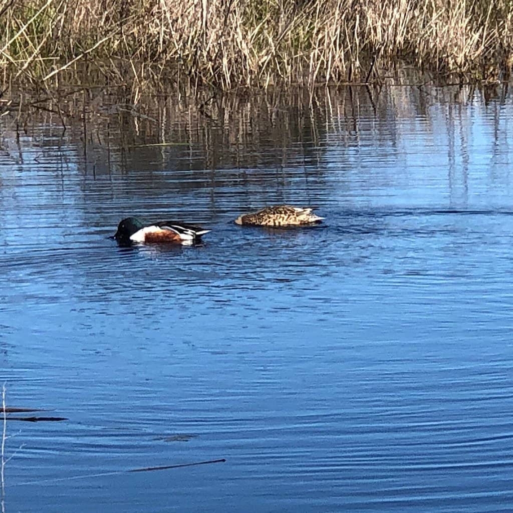 Nature Center Exhibits