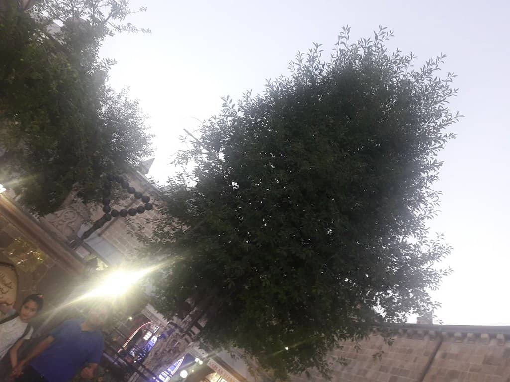 Vertical photo
