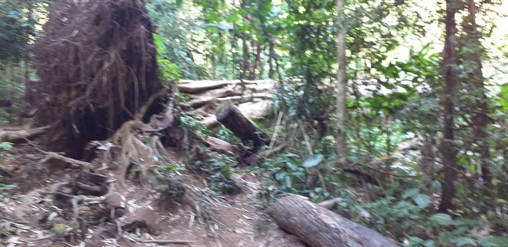 The Majestic Khun Korn Waterfall