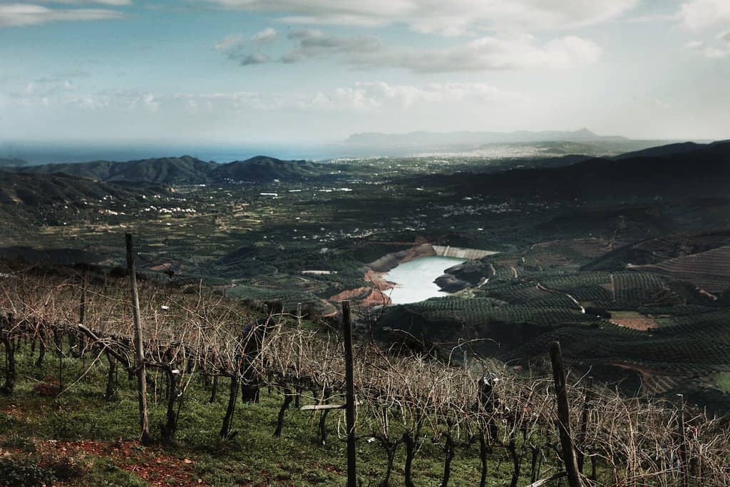 Nostos Wine Tasting