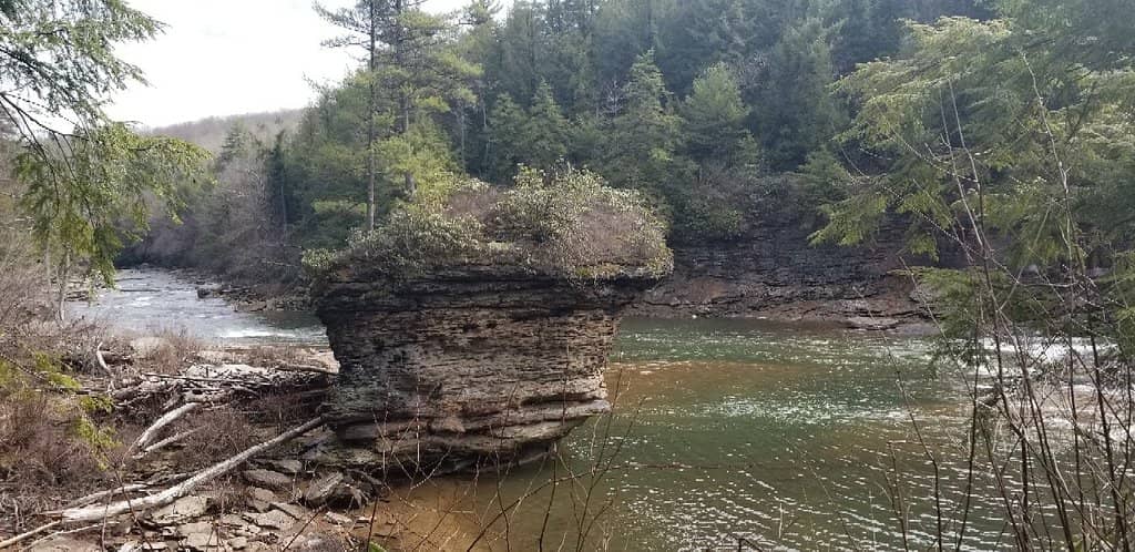 The Canyon Trail