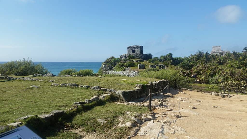 Snorkeling and Boat Tours