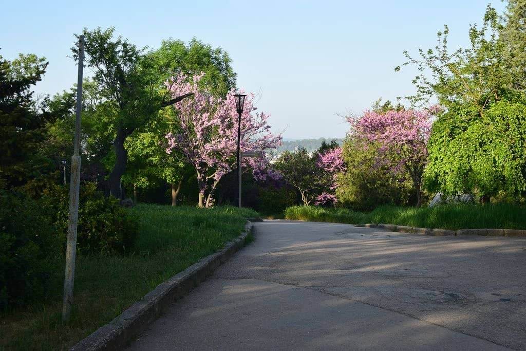 Alley of Glory