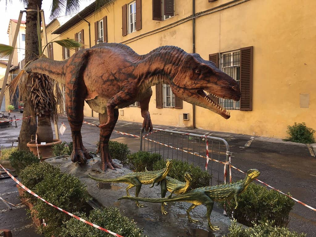 Zoological Displays