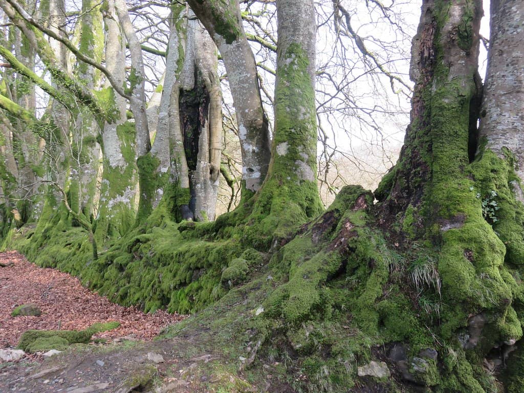 The Granite Way