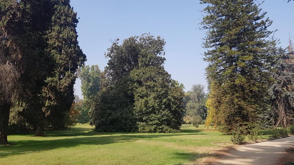 Jardín de Macul