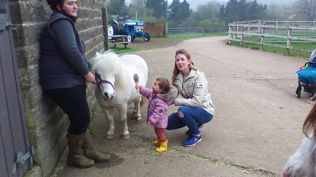 Farm Animals