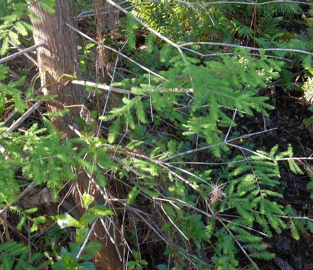 Nature Trails