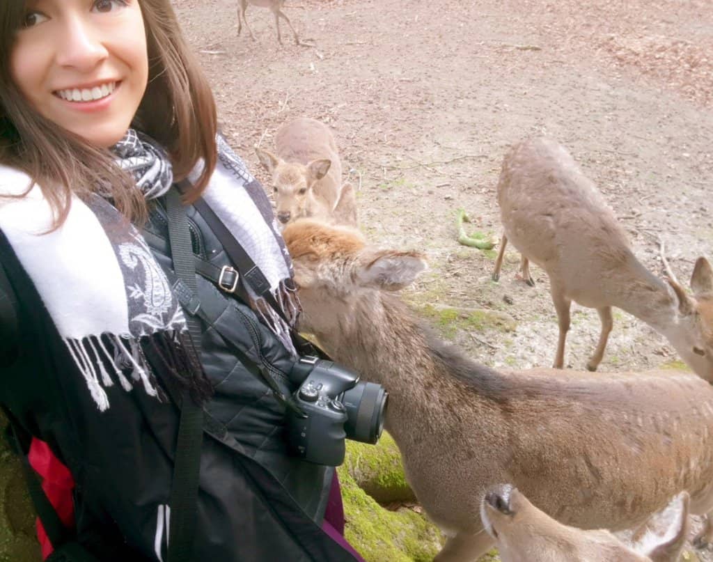 Free-Roaming Deer