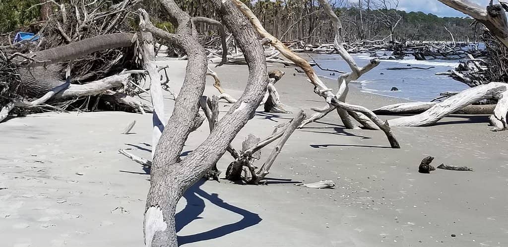 Nature Center & Pier