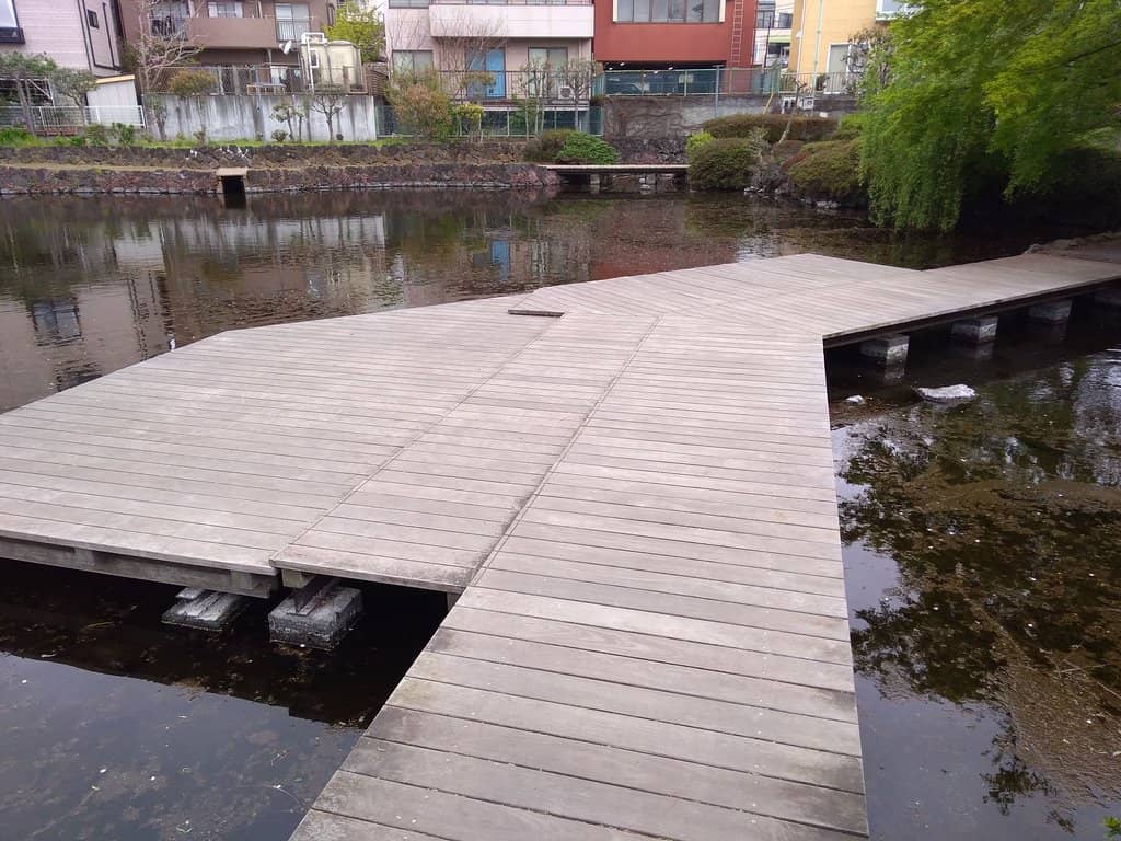 Cherry Blossom Spectacle