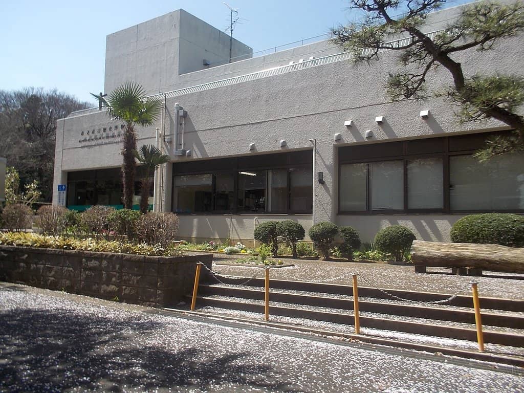 Paleolithic to Heian Period Exhibits