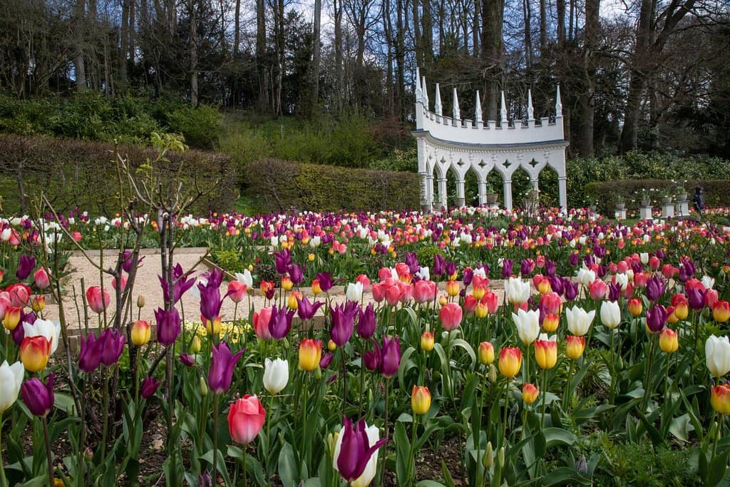 The Rococo Maze