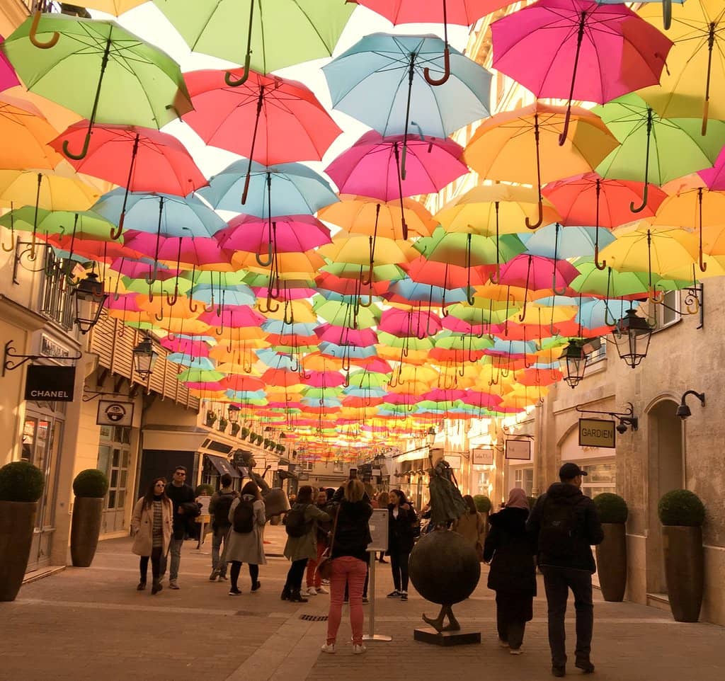 Highlights
