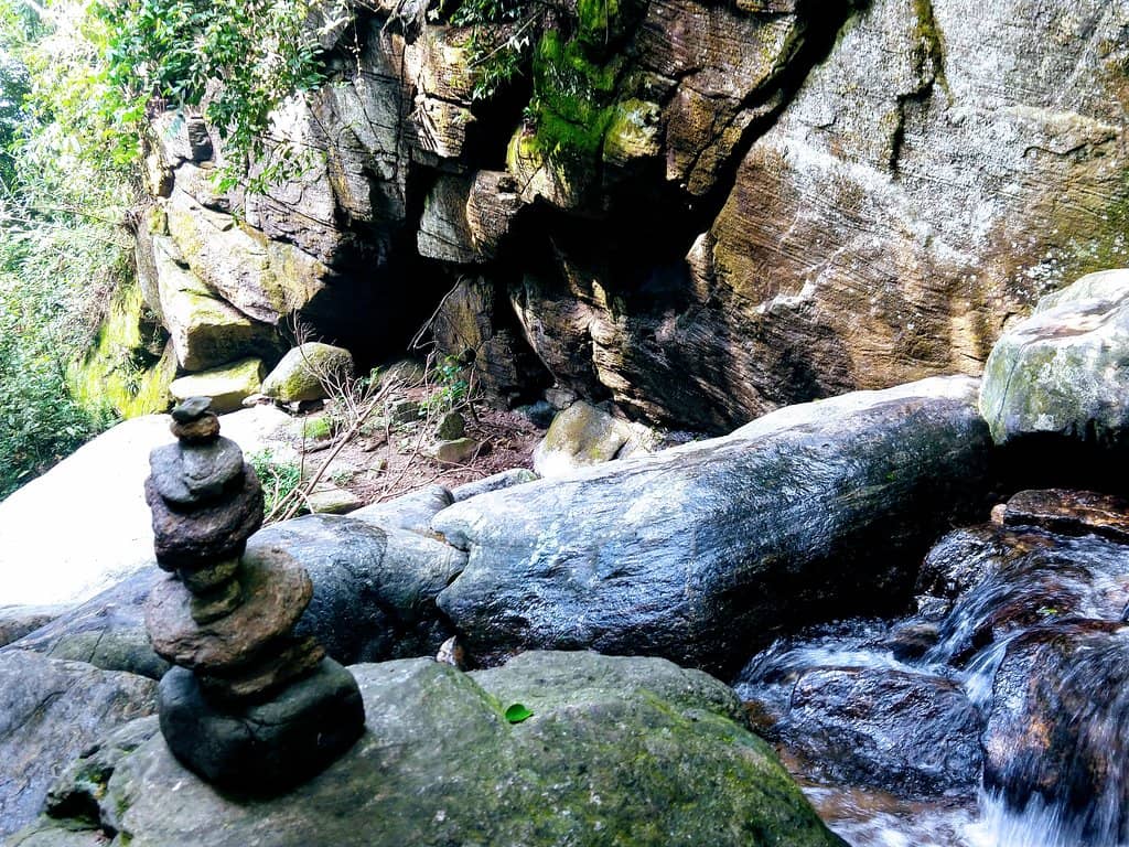 Vertical photo