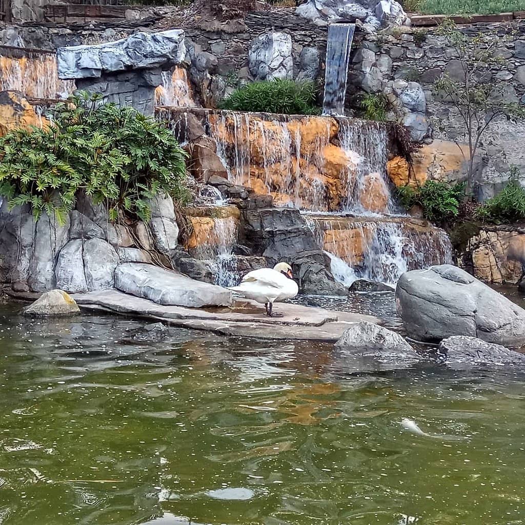 Children's Play Areas