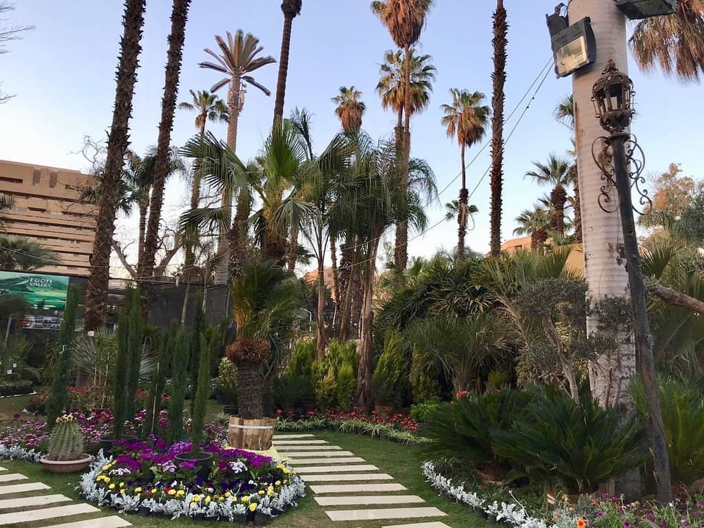 Annual Spring Festival